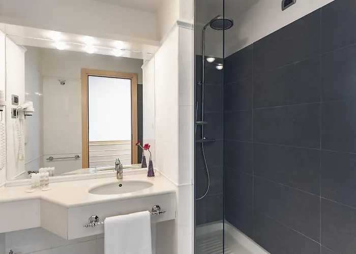 Hotel Occidental Aran Park 4*